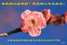 Published on 2/13/2018 ���ֹ�,��½��ʮ��ҵ�󷨵��ӹ�ףʦ���������������