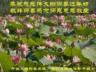 Published on 2/13/2018 ���ֹ�,��½��ʮ��ҵ�󷨵��ӹ�ףʦ���������������