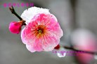 Published on 2/15/2018 ���ֹ�,��½30ʡ���������󷨵������ʦ����