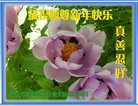 Published on 2/13/2018 ���ֹ�,��½��ʮ��ҵ�󷨵��ӹ�ףʦ���������������