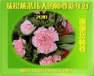 Published on 2/13/2018 ���ֹ�,��½��ʮ��ҵ�󷨵��ӹ�ףʦ���������������