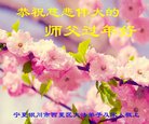 Published on 2/15/2018 ���ֹ�,��½30ʡ���������󷨵������ʦ����