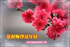 Published on 2/15/2018 ���ֹ�,�ߴ崮�����ഫ����ʦ������Ҳ��