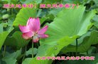 Published on 2/14/2018 ���ֹ�,ԭ������-2018-2-14-361093