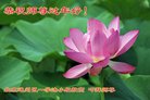 Published on 2/14/2018 ���ֹ�,ԭ������-2018-2-14-361093