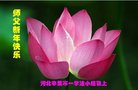���ֹ�,ʯ��ׯ�󷨵��ӹ�ףʦ������(26��)