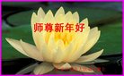���ֹ�,ʯ��ׯ�󷨵��ӹ�ףʦ������(26��)