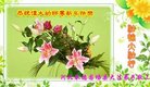 ���ֹ�,�ӱ��󷨵��ӹ�ףʦ������(24��)