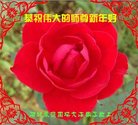 ���ֹ�,�ӱ��󷨵��ӹ�ףʦ������(23��)