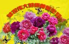 ���ֹ�,�ӱ��󷨵��ӹ�ףʦ������(23��)