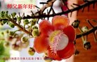 ���ֹ�,�żҿڴ󷨵��ӹ�ףʦ������(25��)