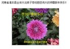 Published on 2/16/2018 ���ֹ�,��½�󷨵��ӹ�ףʦ�������(36��)