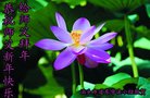 ���ֹ�,�ӱ��󷨵��ӹ�ףʦ������(22��)