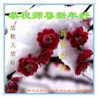 ���ֹ�,��ľ˹�󷨵��ӹ�ףʦ������(25��)