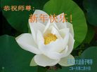 ���ֹ�,ʯ��ׯ�󷨵��ӹ�ףʦ������(30��)