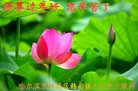���ֹ�,�������󷨵��ӹ�ףʦ������(24��)