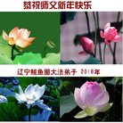 ���ֹ�,�����󷨵��ӹ�ףʦ������(19��)