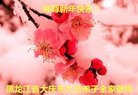 ���ֹ�,����󷨵��ӹ�ףʦ������(20��)