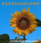 ���ֹ�,�ɶ��󷨵��ӹ�ףʦ������(19��)