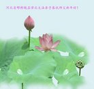 ���ֹ�,�ӱ��󷨵��ӹ�ףʦ������(22��)