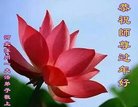 ���ֹ�,�����󷨵��ӹ�ףʦ������(20��)