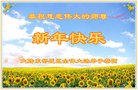 Published on 2/14/2018 ���ֹ�,�������š����취˾�����˴󷨵��Ӹ�ʦ�����