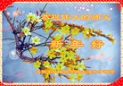 Published on 2/14/2018 ���ֹ�,�������š����취˾�����˴󷨵��Ӹ�ʦ�����