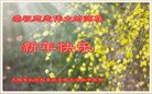Published on 2/14/2018 ���ֹ�,�������š����취˾�����˴󷨵��Ӹ�ʦ�����