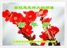 Published on 2/14/2018 ���ֹ�,�������š����취˾�����˴󷨵��Ӹ�ʦ�����