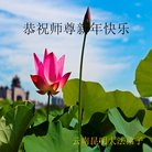 ���ֹ�,���ϴ󷨵��ӹ�ףʦ������(19��)