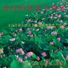 ���ֹ�,���ϴ󷨵��ӹ�ףʦ������(20��)