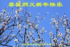 Published on 2/14/2018 ���ֹ�,�������š����취˾�����˴󷨵��Ӹ�ʦ�����