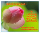 Published on 2/15/2018 ���ֹ�,��С���ӹ�ףʦ������(25��)