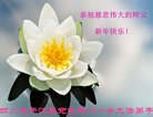 Published on 2/14/2018 ���ֹ�,�������š����취˾�����˴󷨵��Ӹ�ʦ�����