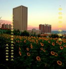 ���ֹ�,�ӱ��󷨵��ӹ�ףʦ������(25��)