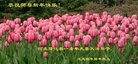���ֹ�,�ӱ��󷨵��ӹ�ףʦ������(25��)