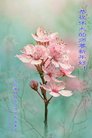 ���ֹ�,�ӱ��󷨵��ӹ�ףʦ������(25��)