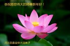 ���ֹ�,�ӱ��󷨵��ӹ�ףʦ������(25��)