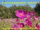 Published on 2/16/2018 ���ֹ�,���󷨵��ӹ�ףʦ������(22��)
