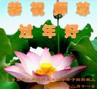 ���ֹ�,�żҿڴ󷨵��ӹ�ףʦ������(22��)