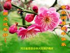 ���ֹ�,�����󷨵��ӹ�ףʦ������(20��)