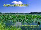 ���ֹ�,�ӱ��󷨵��ӹ�ףʦ������(24��)