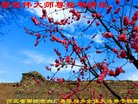 Published on 2/16/2018 ���ֹ�,����ҵ�󷨵��ӹ�ףʦ������(30��)