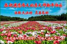 Published on 2/15/2018 ���ֹ�,���������˹�ףʦ������(24��)