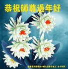 ���ֹ�,�����󷨵��ӹ�ףʦ������(22��)