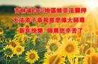 Published on 2/15/2018 ���ֹ�,���Ƿ���Ѻ�Ĵ󷨵��ӹ�ףʦ������(23��)
