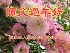 ���ֹ�,�ӱ��󷨵��ӹ�ףʦ������(25��)