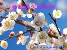 Published on 2/16/2018 ���ֹ�,���󷨵��ӹ�ףʦ������(22��)