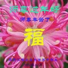 ���ֹ�,�������󷨵��ӹ�ףʦ������(23��)