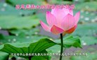 ���ֹ�,ʯ��ׯ�󷨵��ӹ�ףʦ������(28��)